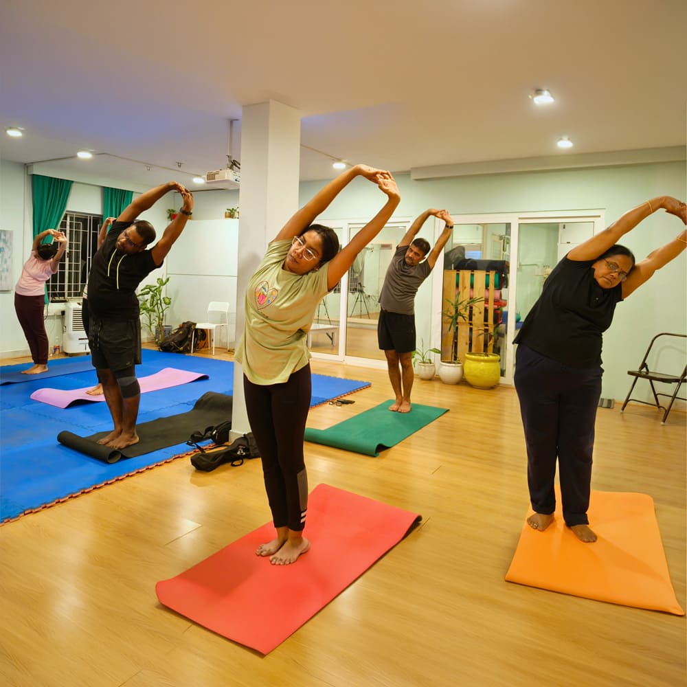 Flow Group Yoga Dynamic Movement & Vitality Classes